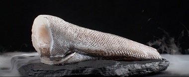 giant grenadier fish